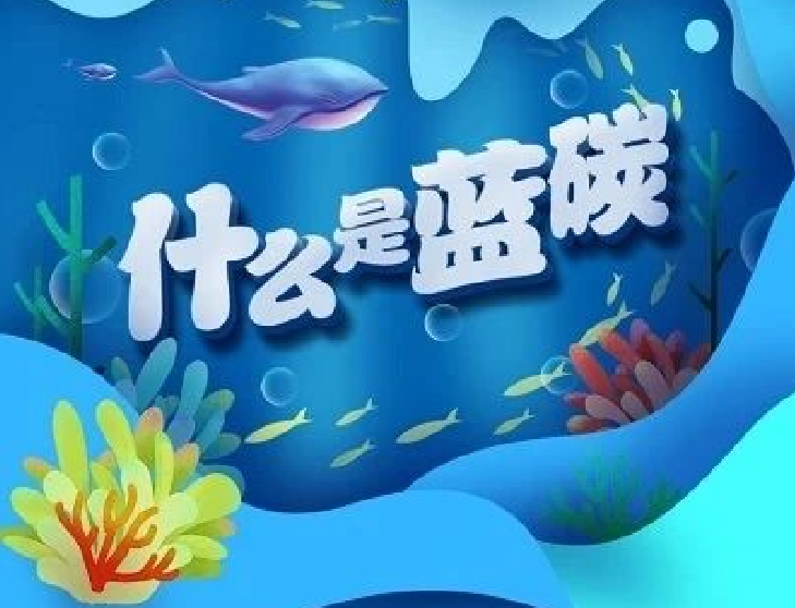 圖解｜你知道“藍(lán)碳”是什么嗎？